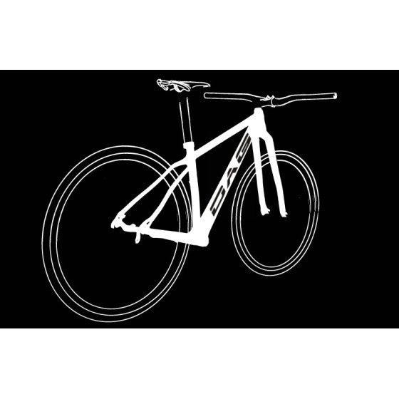 Dag Telaio MTB Carbon Race SL 27,5